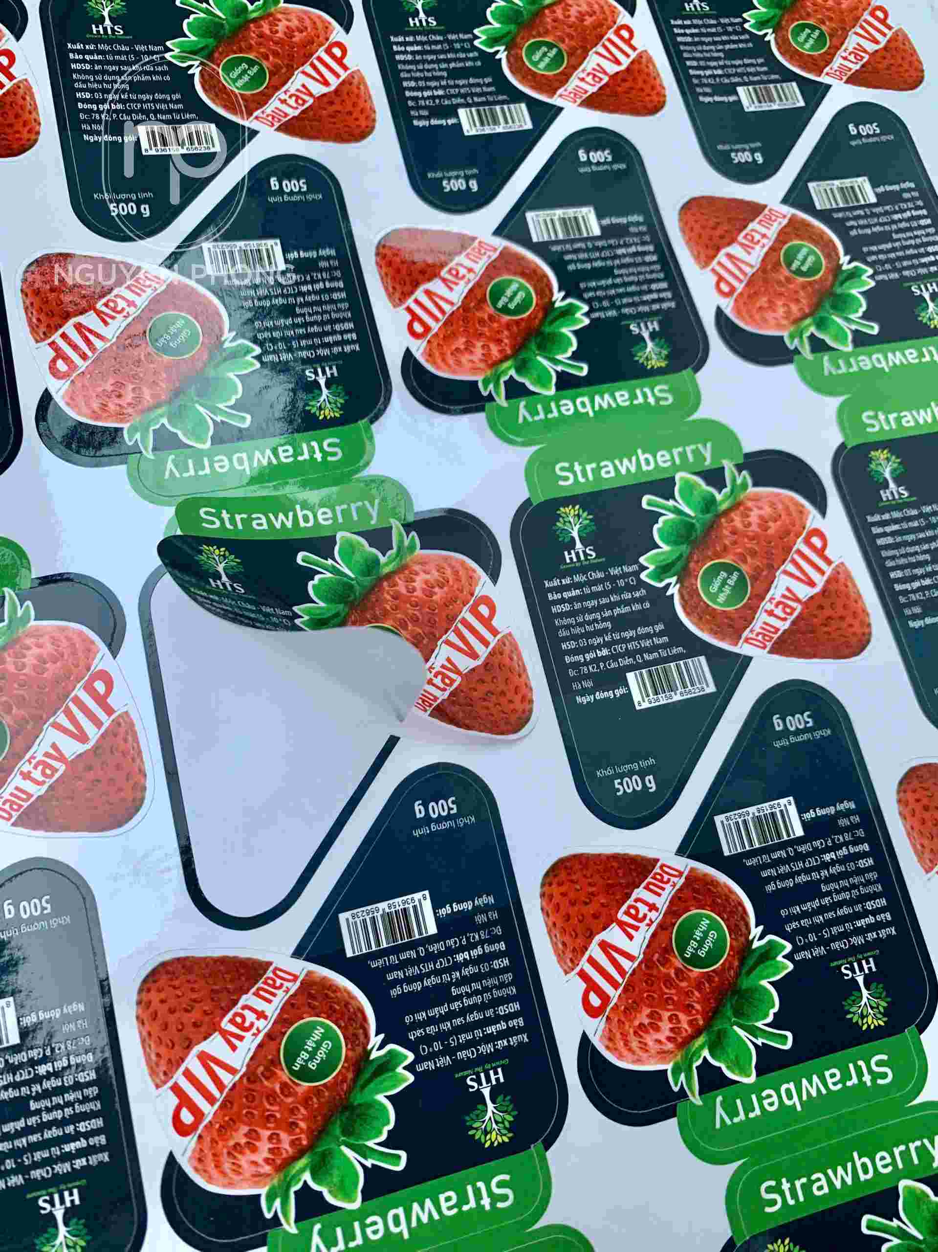 Tem dán hoa quả - Tạo dựng uy tín trên thị trường